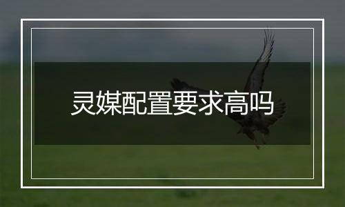 灵媒配置要求高吗