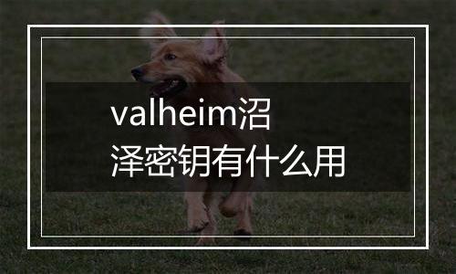 valheim沼泽密钥有什么用