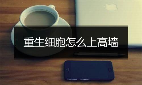 重生细胞怎么上高墙