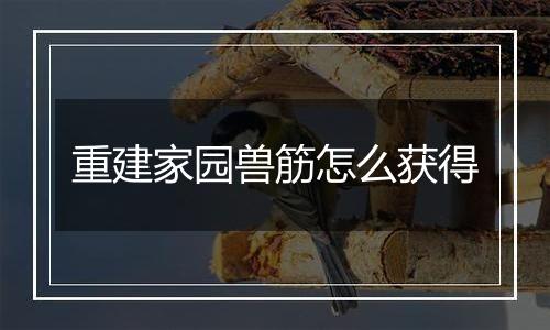 重建家园兽筋怎么获得