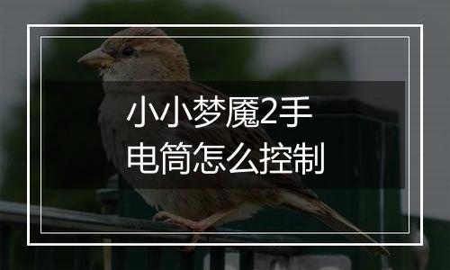 小小梦魇2手电筒怎么控制