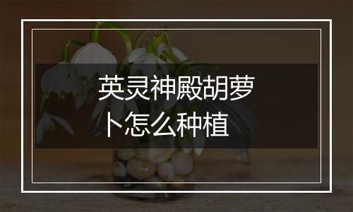 英灵神殿胡萝卜怎么种植