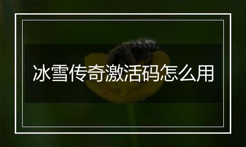 冰雪传奇激活码怎么用