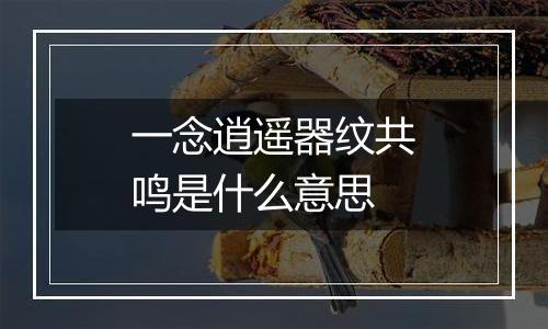 一念逍遥器纹共鸣是什么意思