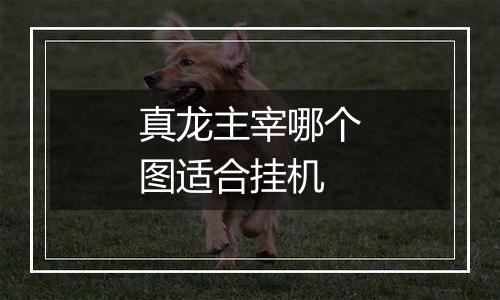 真龙主宰哪个图适合挂机