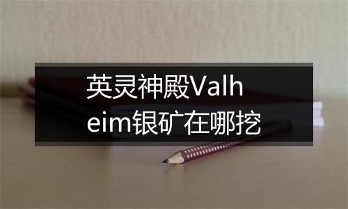 英灵神殿Valheim银矿在哪挖