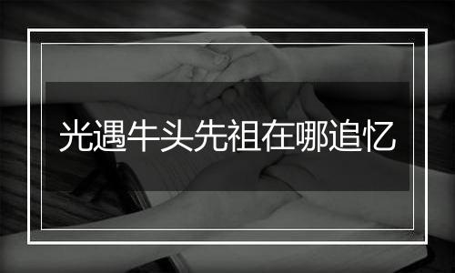 光遇牛头先祖在哪追忆
