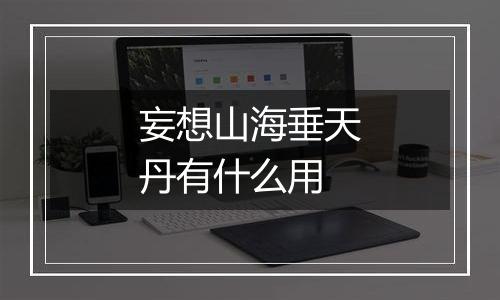 妄想山海垂天丹有什么用