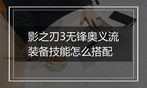 影之刃3无锋奥义流装备技能怎么搭配