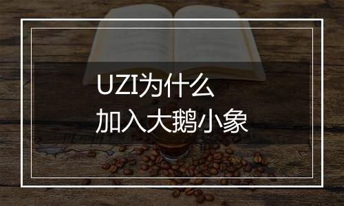UZI为什么加入大鹅小象