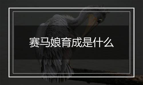 赛马娘育成是什么