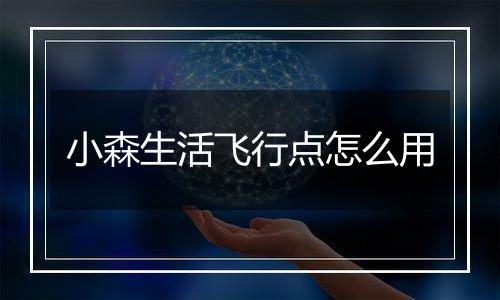 小森生活飞行点怎么用
