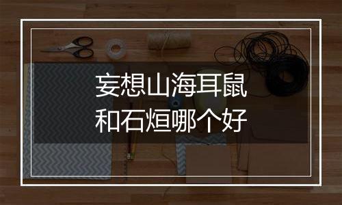 妄想山海耳鼠和石烜哪个好