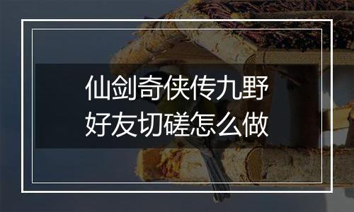 仙剑奇侠传九野好友切磋怎么做