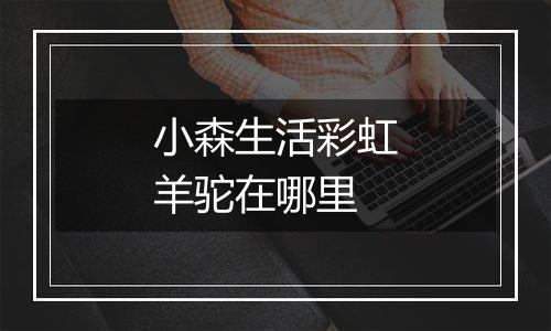 小森生活彩虹羊驼在哪里