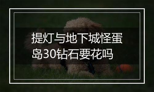 提灯与地下城怪蛋岛30钻石要花吗