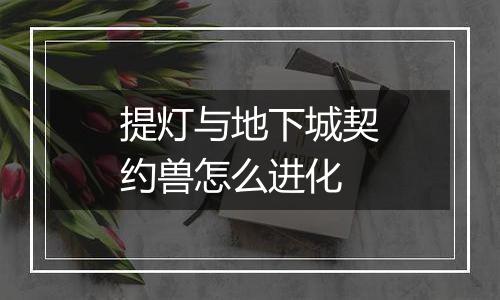 提灯与地下城契约兽怎么进化