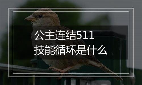 公主连结511技能循环是什么