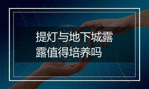 提灯与地下城露露值得培养吗