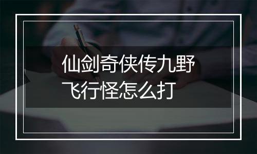 仙剑奇侠传九野飞行怪怎么打