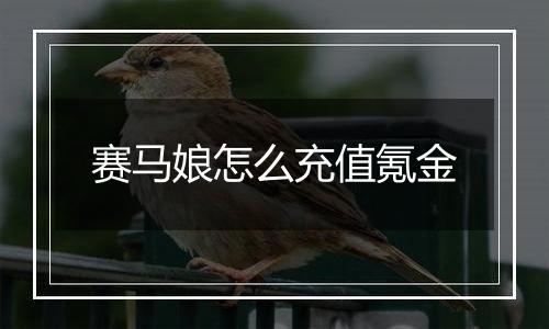 赛马娘怎么充值氪金