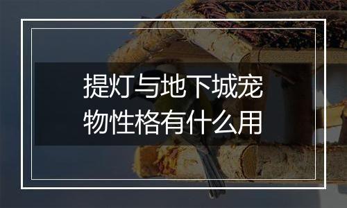 提灯与地下城宠物性格有什么用