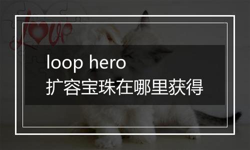 loop hero扩容宝珠在哪里获得