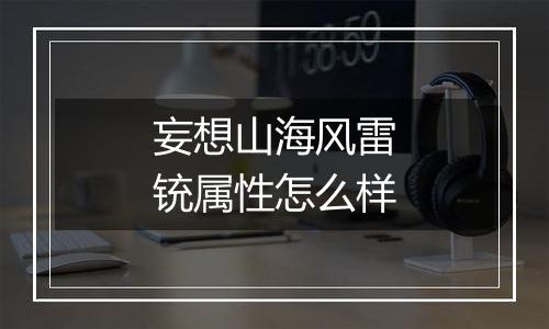 妄想山海风雷铳属性怎么样