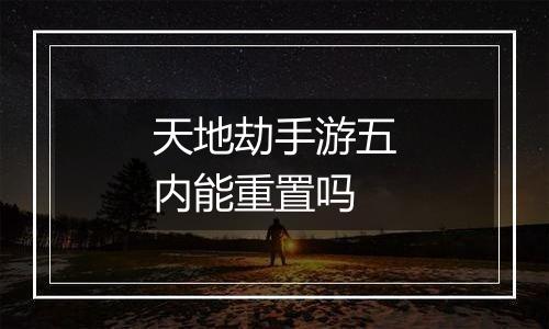 天地劫手游五内能重置吗