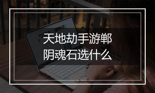 天地劫手游郸阴魂石选什么
