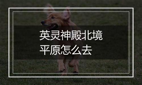 英灵神殿北境平原怎么去
