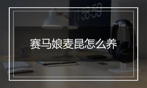 赛马娘麦昆怎么养