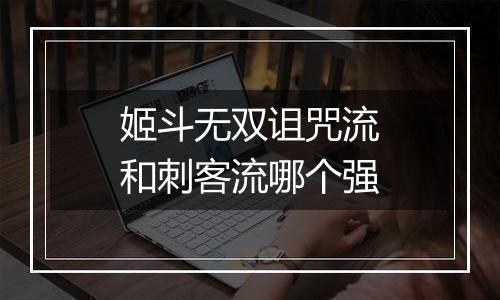 姬斗无双诅咒流和刺客流哪个强