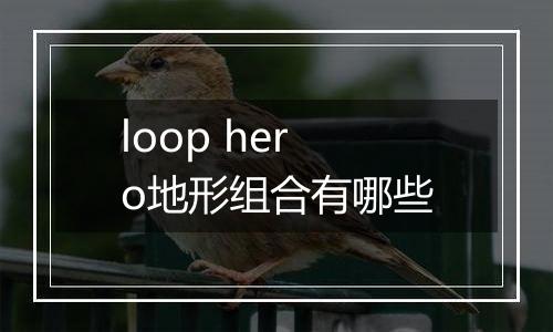 loop hero地形组合有哪些
