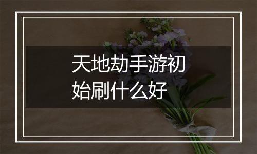 天地劫手游初始刷什么好