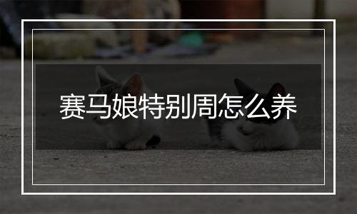 赛马娘特别周怎么养