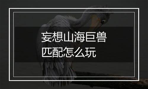 妄想山海巨兽匹配怎么玩