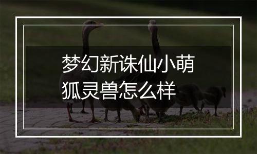 梦幻新诛仙小萌狐灵兽怎么样