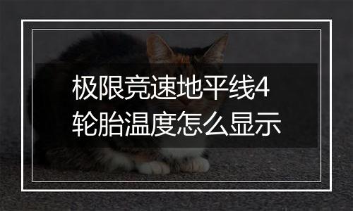 极限竞速地平线4轮胎温度怎么显示