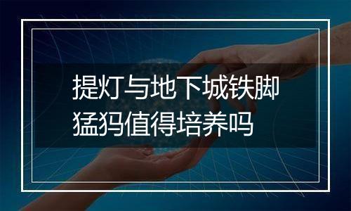 提灯与地下城铁脚猛犸值得培养吗