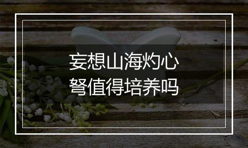 妄想山海灼心弩值得培养吗