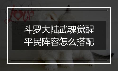 斗罗大陆武魂觉醒平民阵容怎么搭配