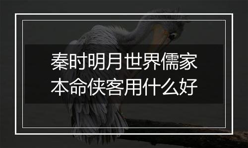 秦时明月世界儒家本命侠客用什么好