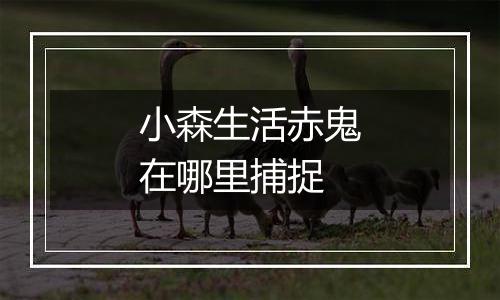 小森生活赤鬼在哪里捕捉