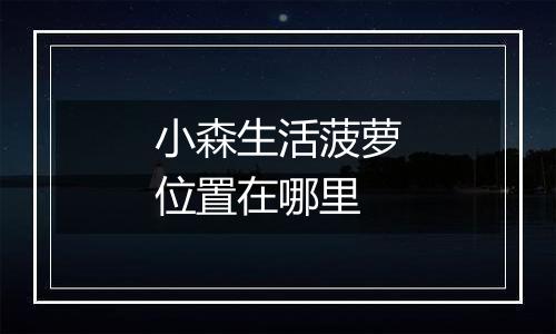 小森生活菠萝位置在哪里