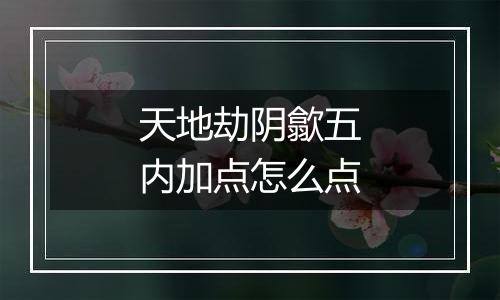 天地劫阴歙五内加点怎么点