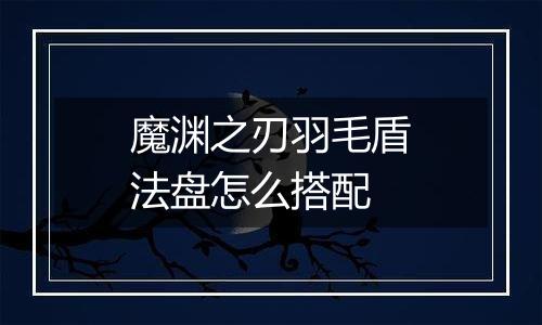 魔渊之刃羽毛盾法盘怎么搭配