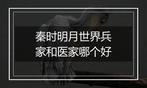 秦时明月世界兵家和医家哪个好
