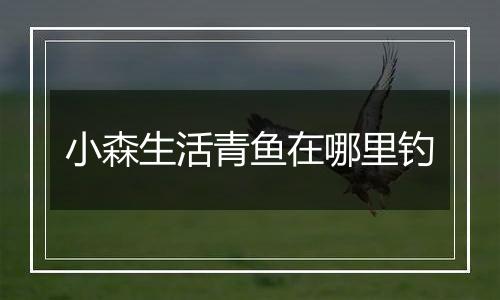 小森生活青鱼在哪里钓