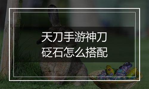 天刀手游神刀砭石怎么搭配